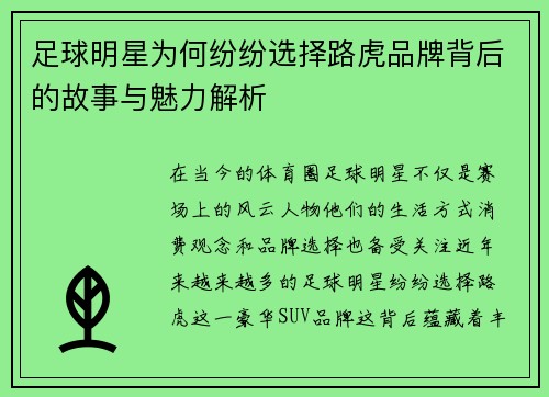 足球明星为何纷纷选择路虎品牌背后的故事与魅力解析